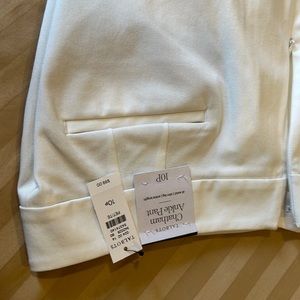 Talbots Chatham ankle pants size 10 petite